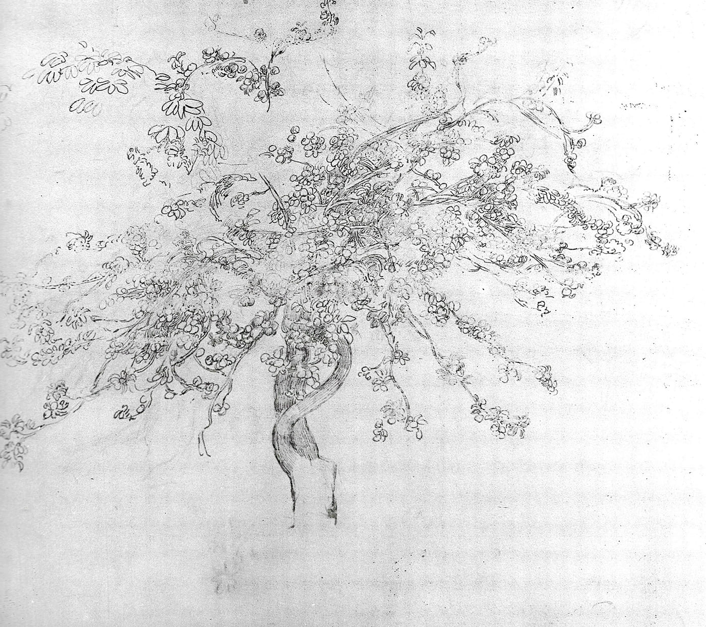 Cropped images of Aline Charigot from Renoir's works