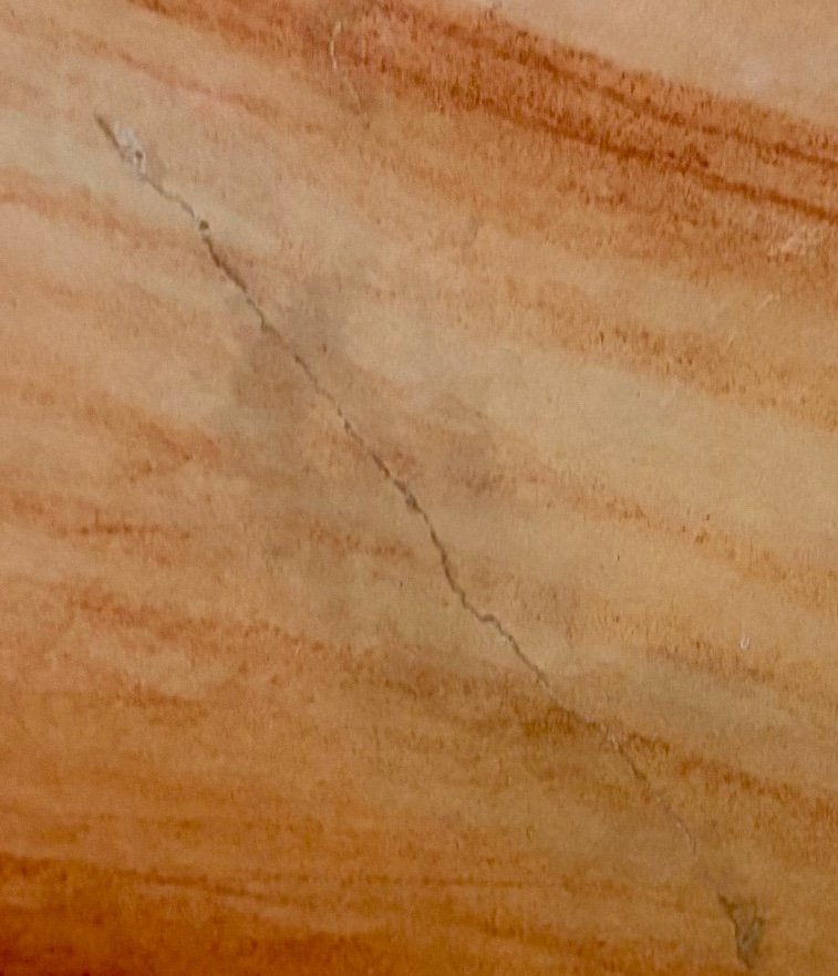 Cropped detail of Renoir's sanguine drawing study for Grand Bathers